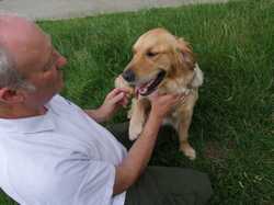 Pour agrandir l'image (800x600 pixels; 96 KB)