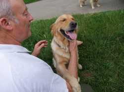 Pour agrandir l'image (800x600 pixels; 91 KB)