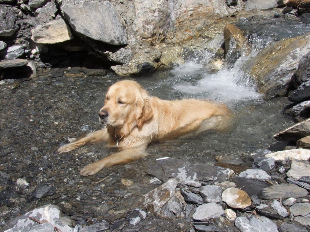 Cliquer pour voir l'image suivante