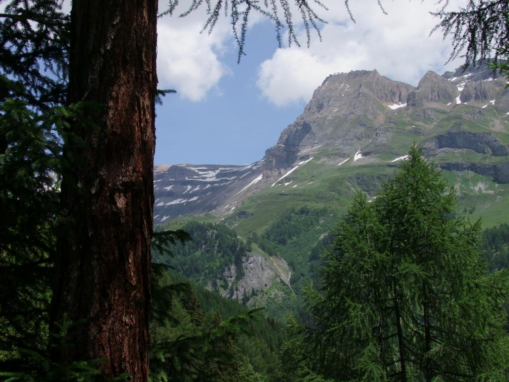 Cliquer pour voir l'image suivante