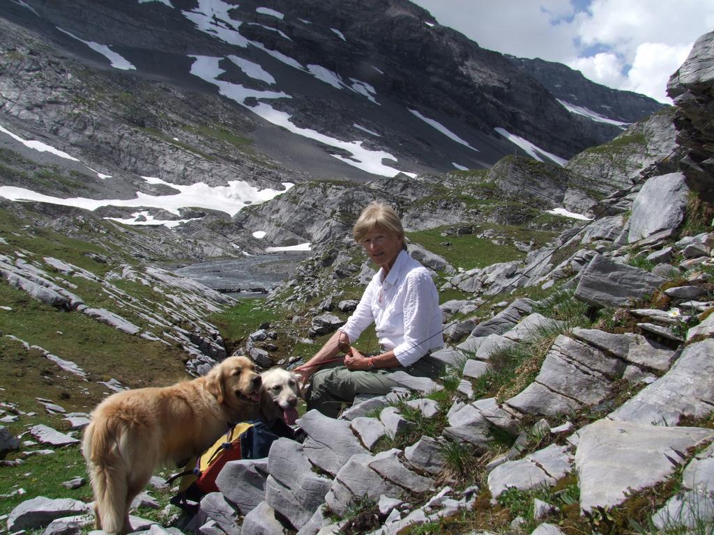 Pour l'image suivante