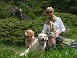 Cliquer pour agrandir l'image (800x600 pixels; 154 KB)