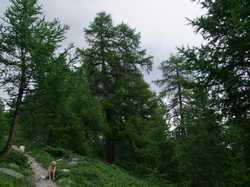 Cliquer pour agrandir l'image (800x600 pixels; 127 KB)