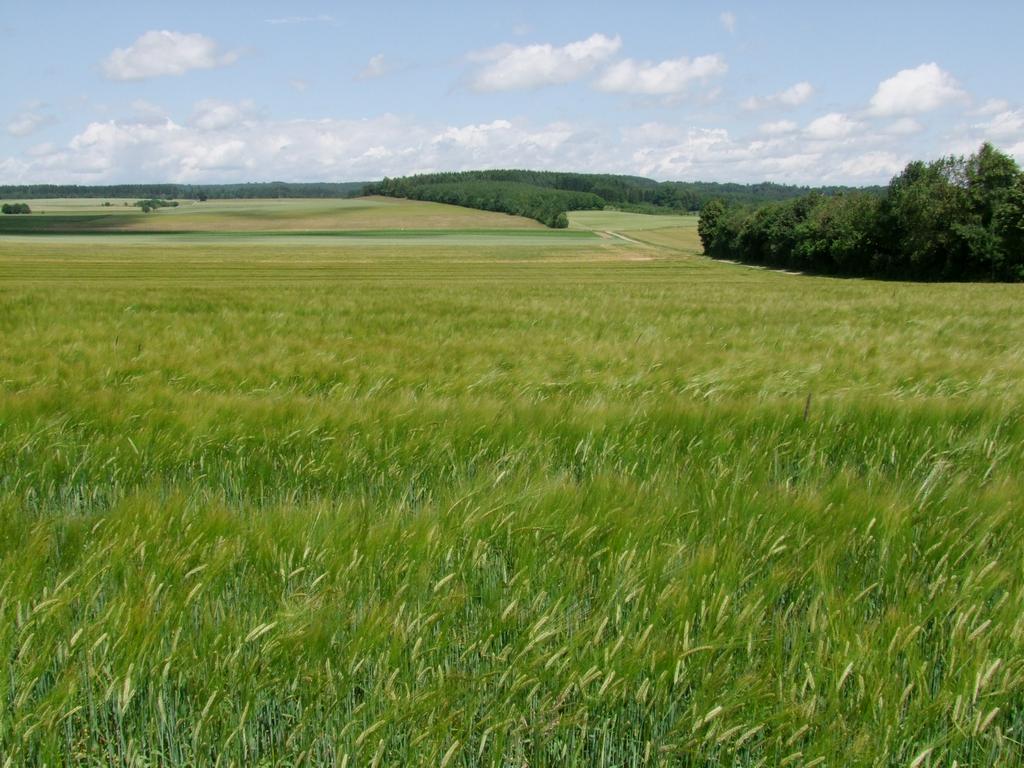 Pour l'image suivante