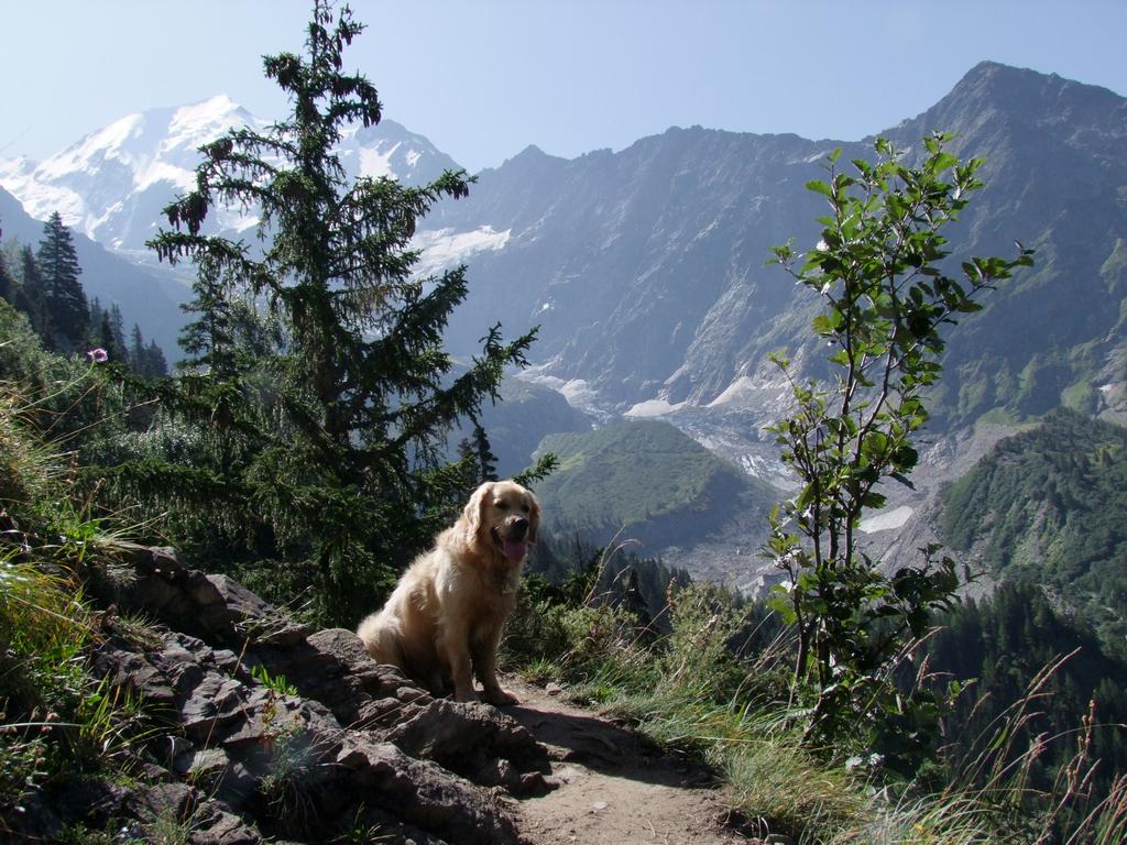 Pour l'image suivante