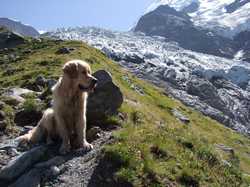 Pour agrandir l'image (1024x768 pixels; 216 KB)