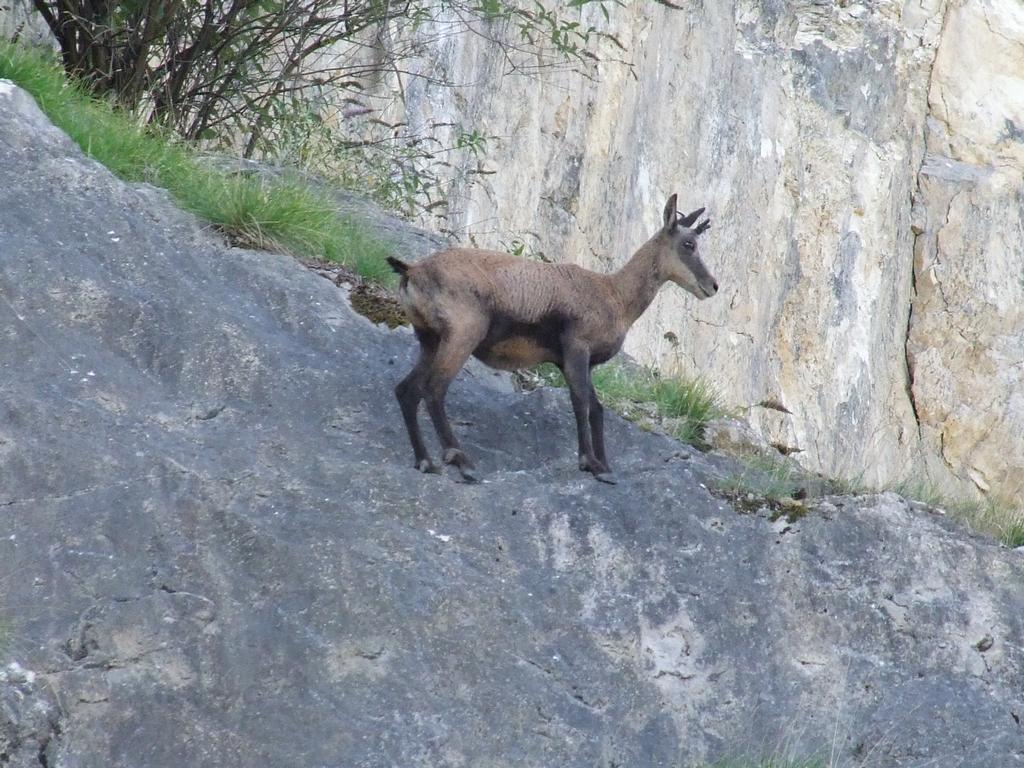 Pour l'image suivante