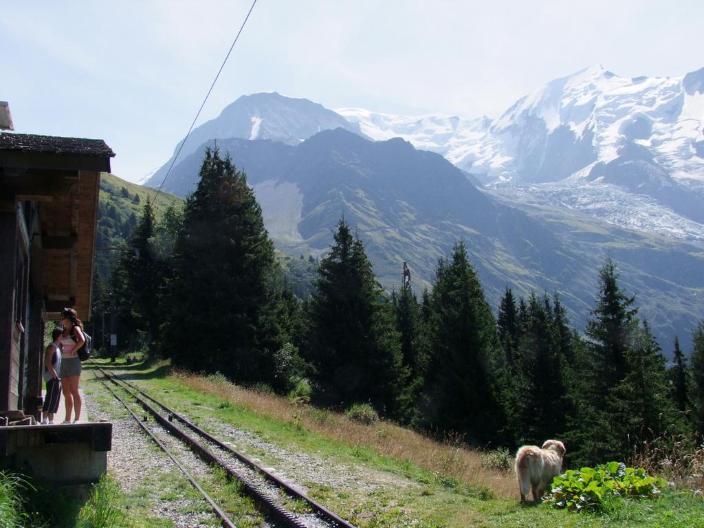 Pour l'image suivante