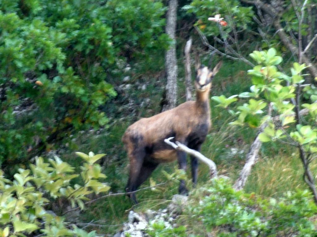 Pour l'image suivante