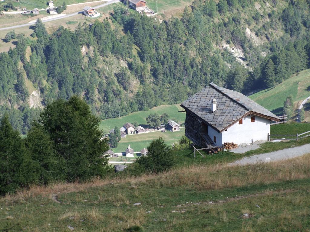 Pour l'image suivante