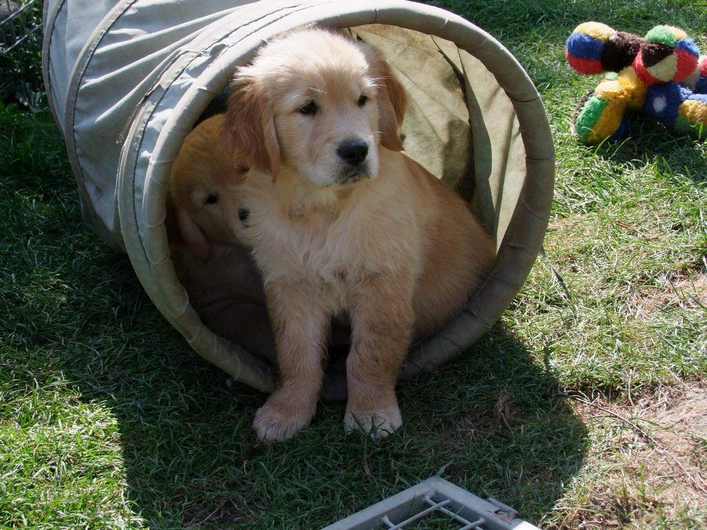 Pour l'image suivante