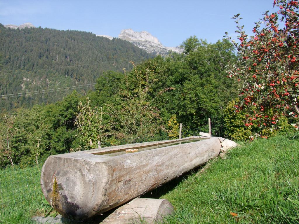 Pour l'image suivante