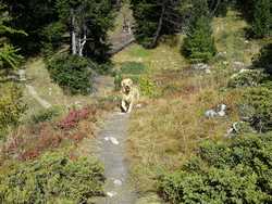 Pour agrandir l'image (1024x768 pixels; 296 KB)