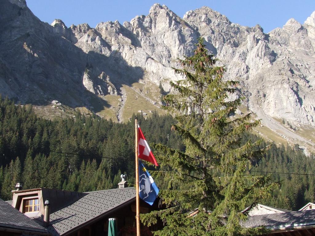 Pour l'image suivante