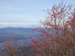 Pour agrandir l'image (1024x768 pixels; 154 KB)