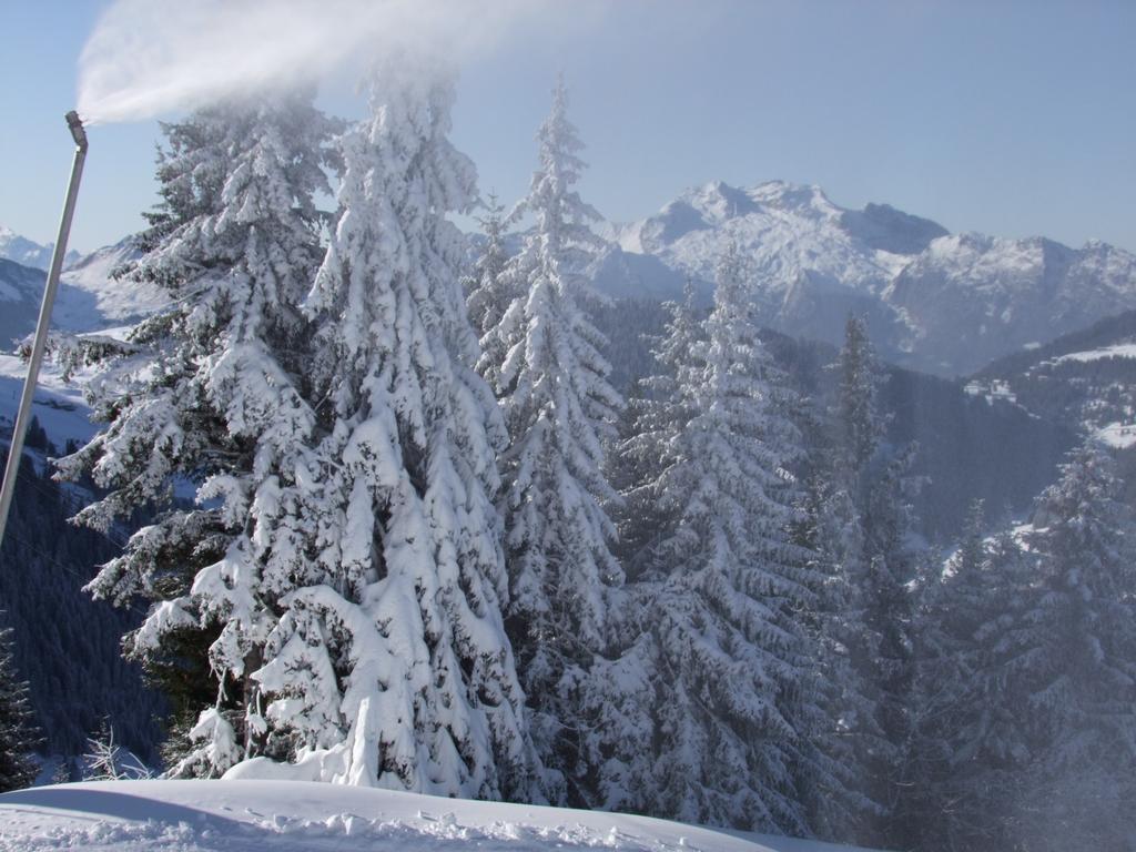 Pour l'image suivante