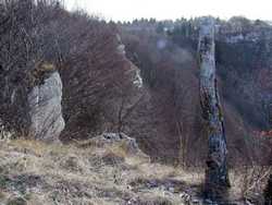 Pour agrandir l'image (1024x768 pixels; 212 KB)