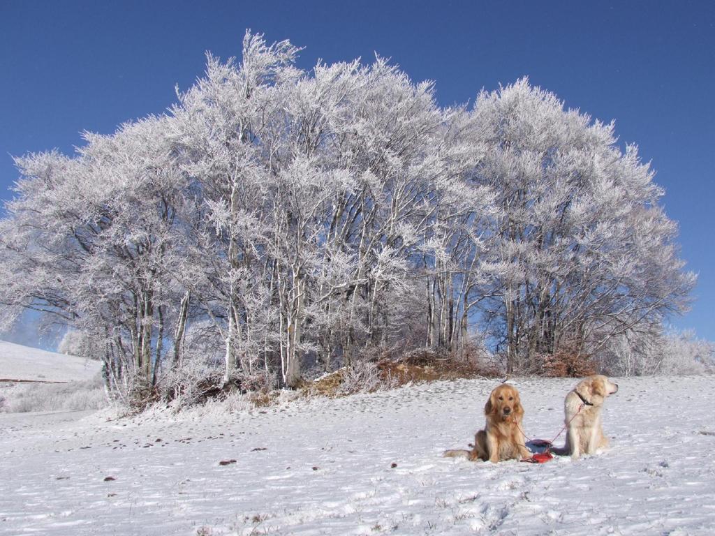 Click to see next picture