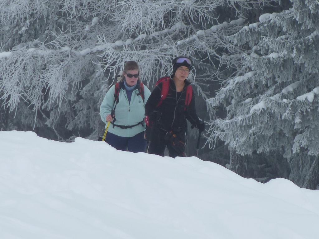 Pour l'image suivante