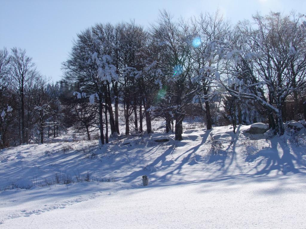 Pour l'image suivante