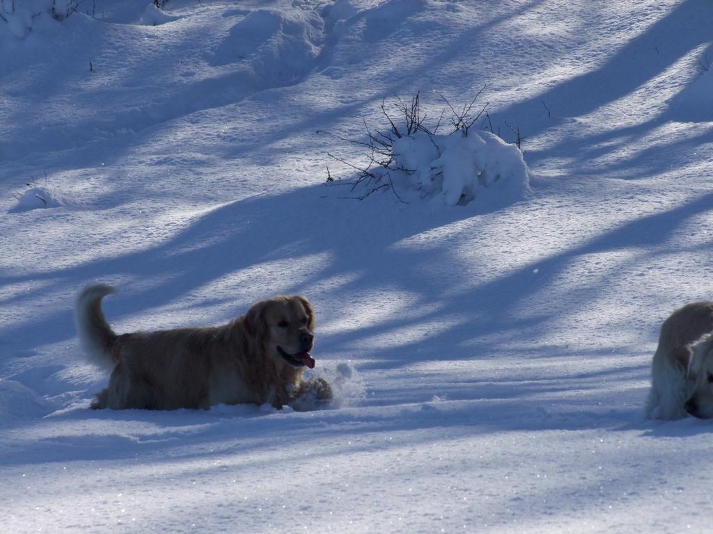 Pour l'image suivante