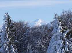 Pour agrandir l'image (1024x768 pixels; 175 KB)