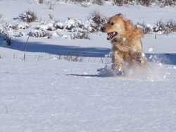 Pour agrandir l'image (1024x768 pixels; 97 KB)