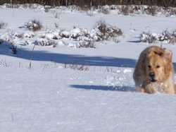 Pour agrandir l'image (1024x768 pixels; 106 KB)