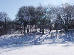 Pour agrandir l'image (1024x768 pixels; 190 KB)