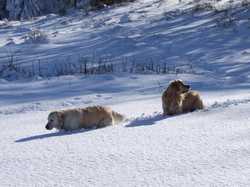 Pour agrandir l'image (1024x768 pixels; 158 KB)