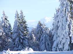 Pour agrandir l'image (1024x768 pixels; 158 KB)