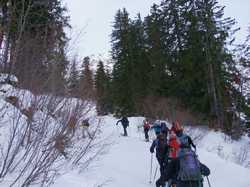 Pour agrandir l'image (1024x768 pixels; 180 KB)