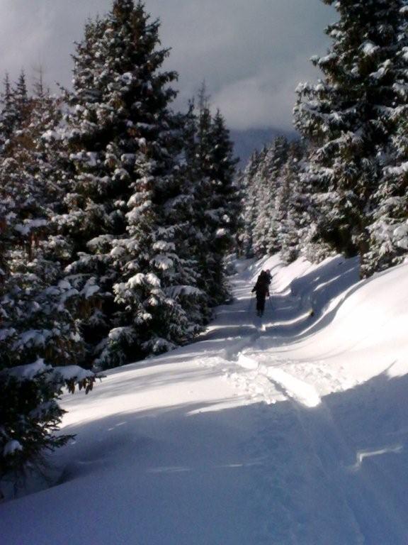 Pour l'image suivante