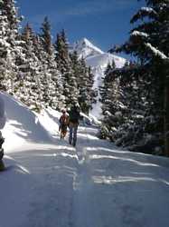 Pour agrandir l'image (576x768 pixels; 71 KB)