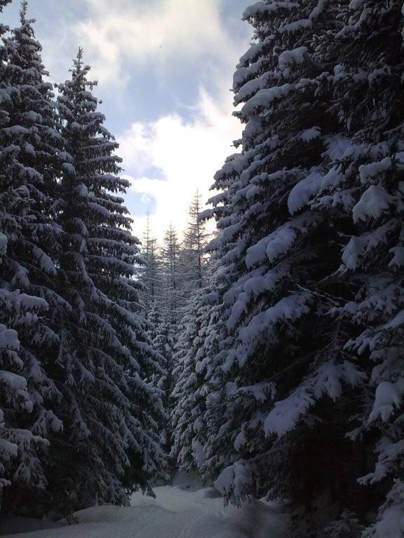 Pour l'image suivante