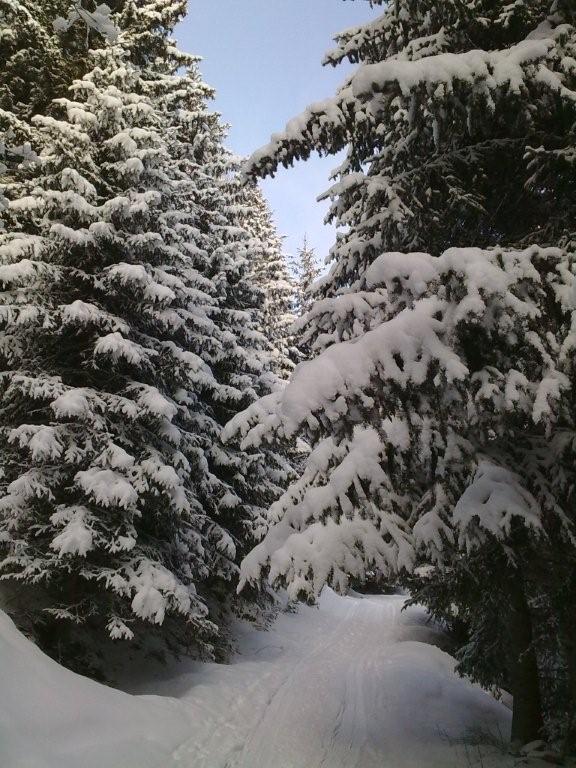 Pour l'image suivante