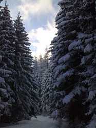 Pour agrandir l'image (576x768 pixels; 84 KB)