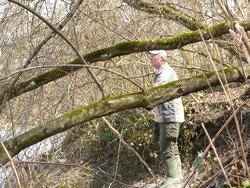 Clic pour agrandir l'image (1024x768 pixels; 269 KB)