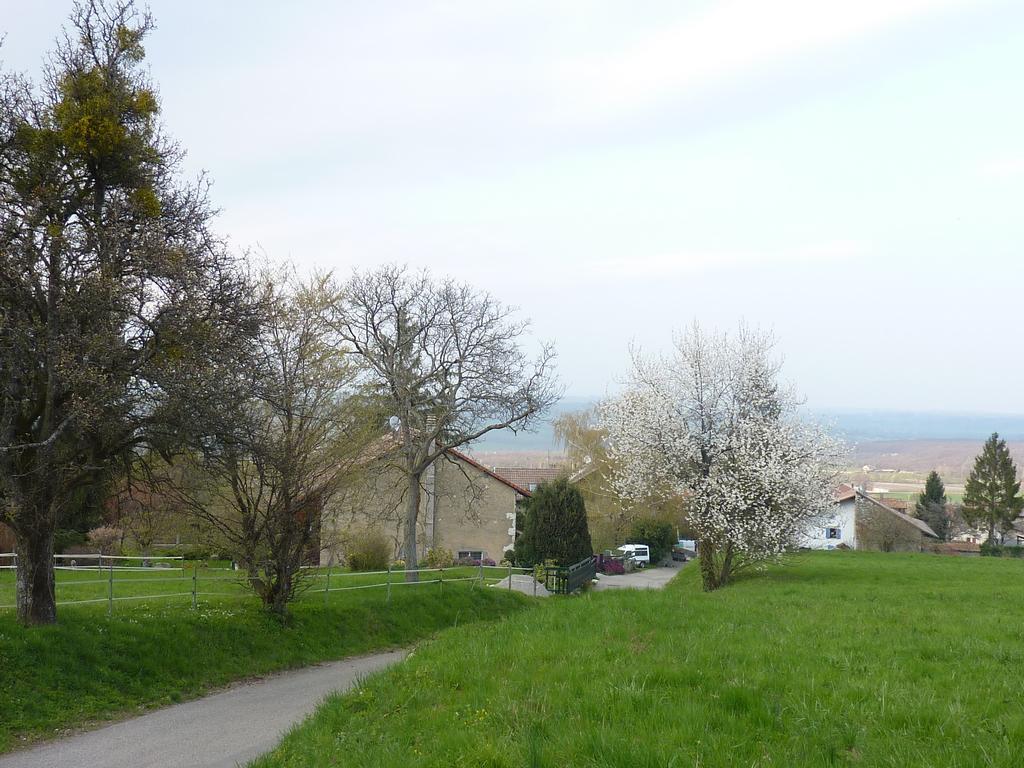 clic ici pour suivante