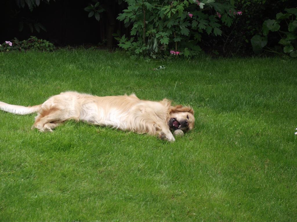 clic ici pour suivante