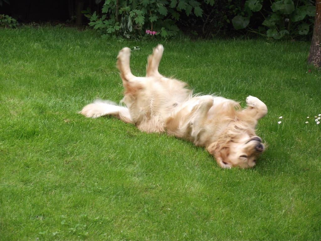 clic ici pour suivante