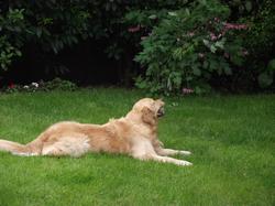 Clic pour agrandir l'image (1024x768 pixels; 183 KB)