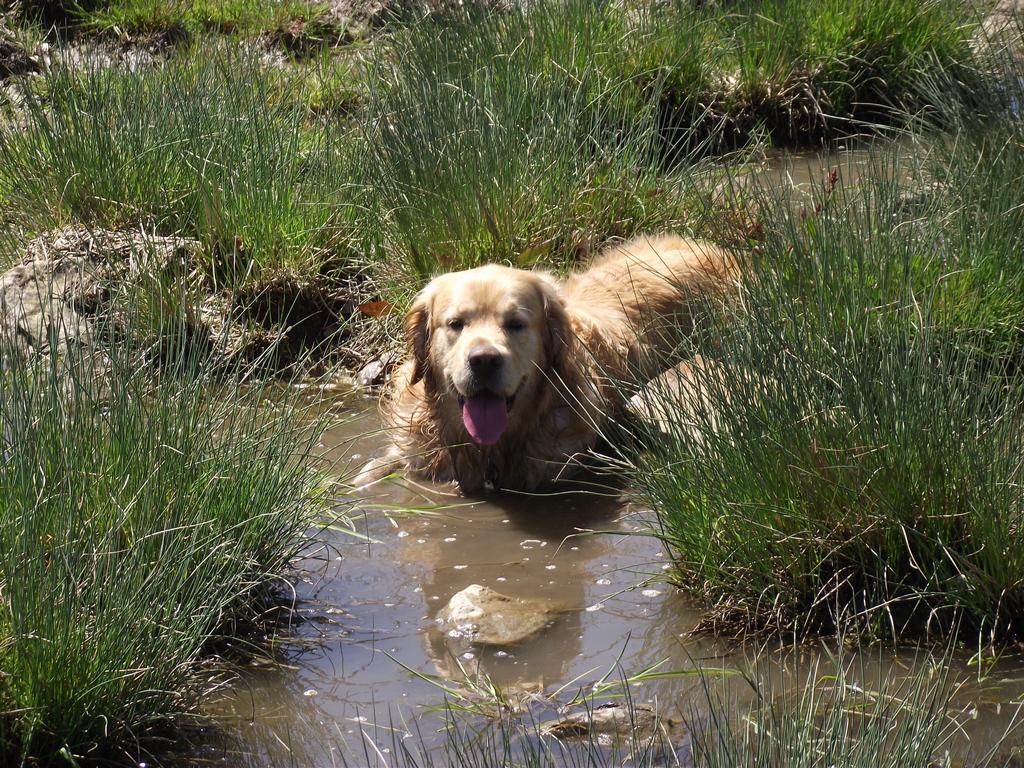 clic ici pour suivante