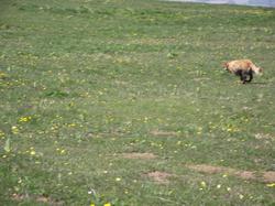 Clic pour agrandir l'image (1024x768 pixels; 189 KB)