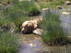 Clic pour agrandir l'image (1024x768 pixels; 314 KB)