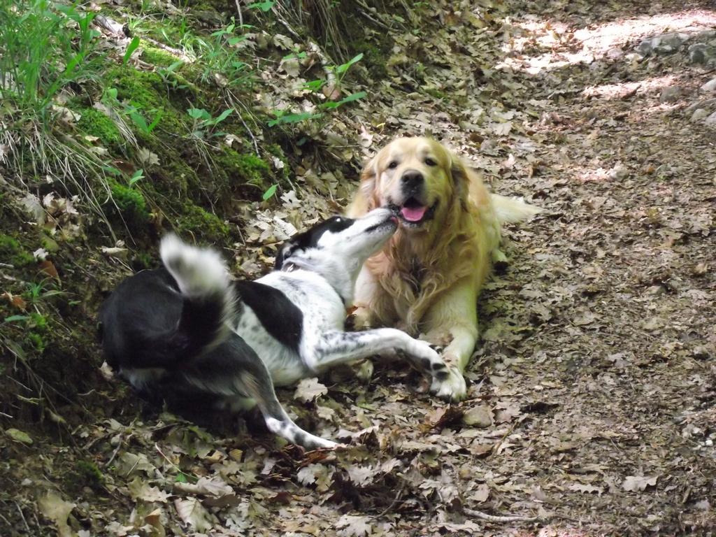 clic ici pour suivante