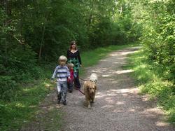 Clic pour agrandir l'image (1024x768 pixels; 271 KB)