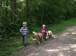 Clic pour agrandir l'image (1024x768 pixels; 245 KB)