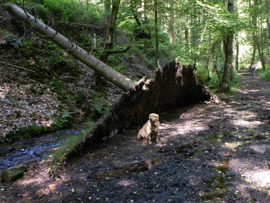 clic ici pour suivante