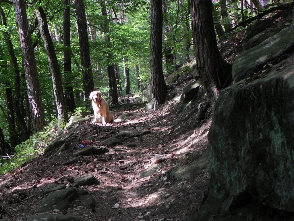 clic ici pour suivante